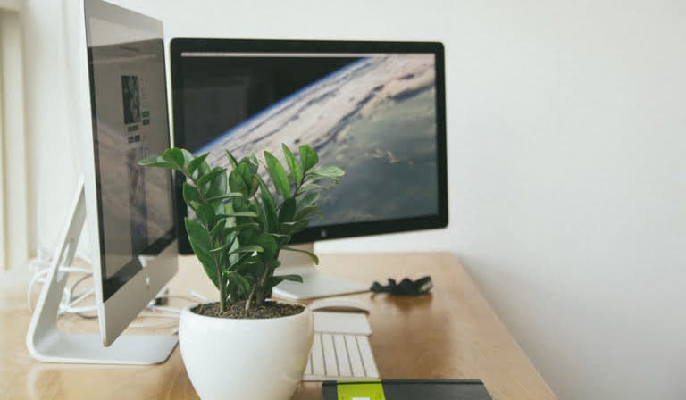
7 reasons why it is worth introducing a Healthy Workplace Project in your company!					
