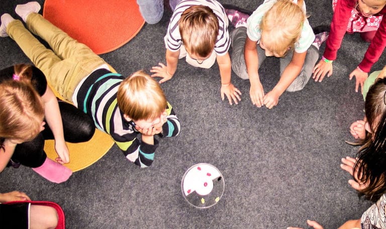 
Cleaning of kindergartens and nurseries					